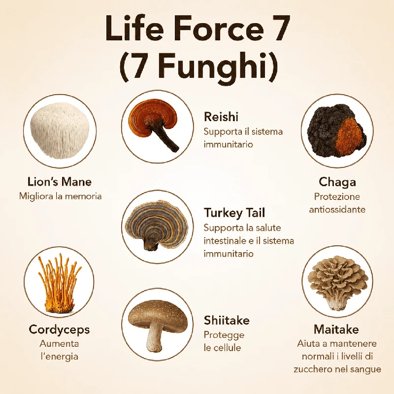 prodotto-iFungi Life Force 7 3